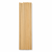 Rattan Reed Sticks for Diffusers – Natural Wooden Reeds, Set of 10